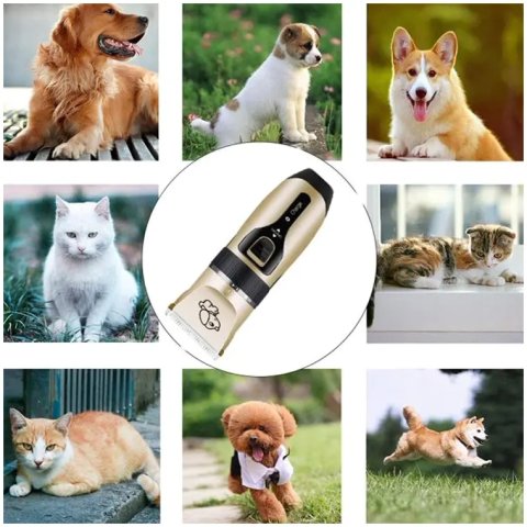 MASZYNKA DO STRZYŻENIA PSÓW PSA KOTA ZWIERZĄT GOLARKA ZESTAW 4 NASADKI