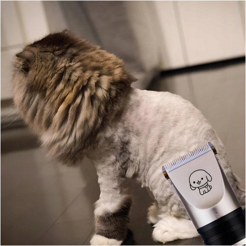 MASZYNKA DO STRZYŻENIA PSÓW PSA KOTA ZWIERZĄT GOLARKA ZESTAW 4 NASADKI Typ: przewodowa