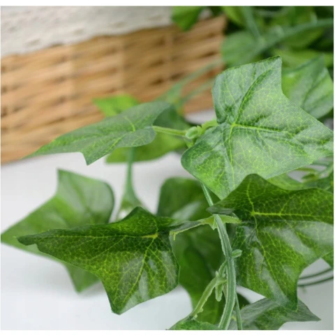 SZTUCZNY BLUSZCZ x 12 SZTUK Na Ścianę Balkon Girlanda Sztuczne Liście 25 M, Rodzaj akcesoria