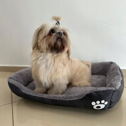 LEGOWISKO DLA PSA KOTA 60x45 XL PODUSZKA SOFA KANAPA KOJEC WODOODPORNY, Długość 60 cm