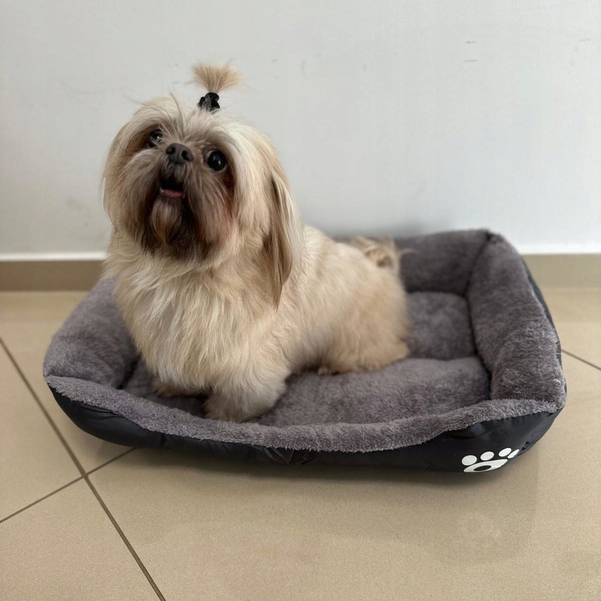 LEGOWISKO DLA PSA KOTA 60x45 XL PODUSZKA SOFA KANAPA KOJEC WODOODPORNY, Wielkość psa średni pies